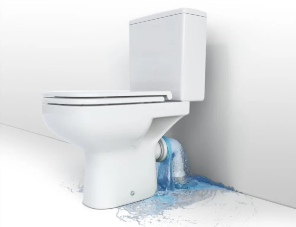 Leaking Toilet