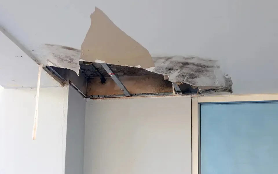 Video Line Inspection