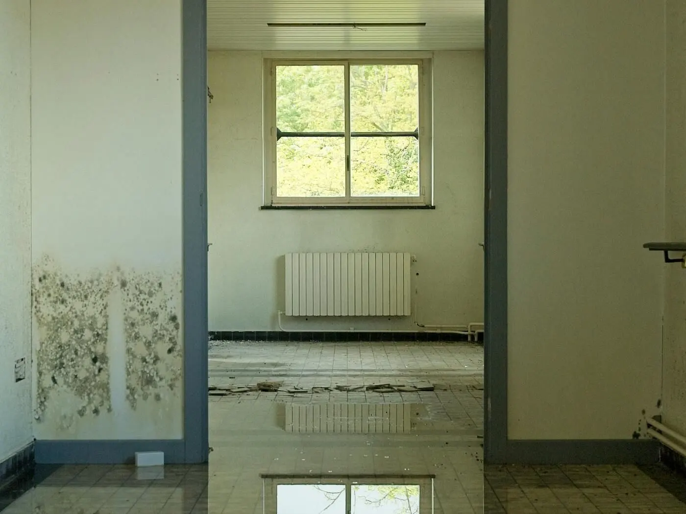 Basement and Emergency Flooding Services